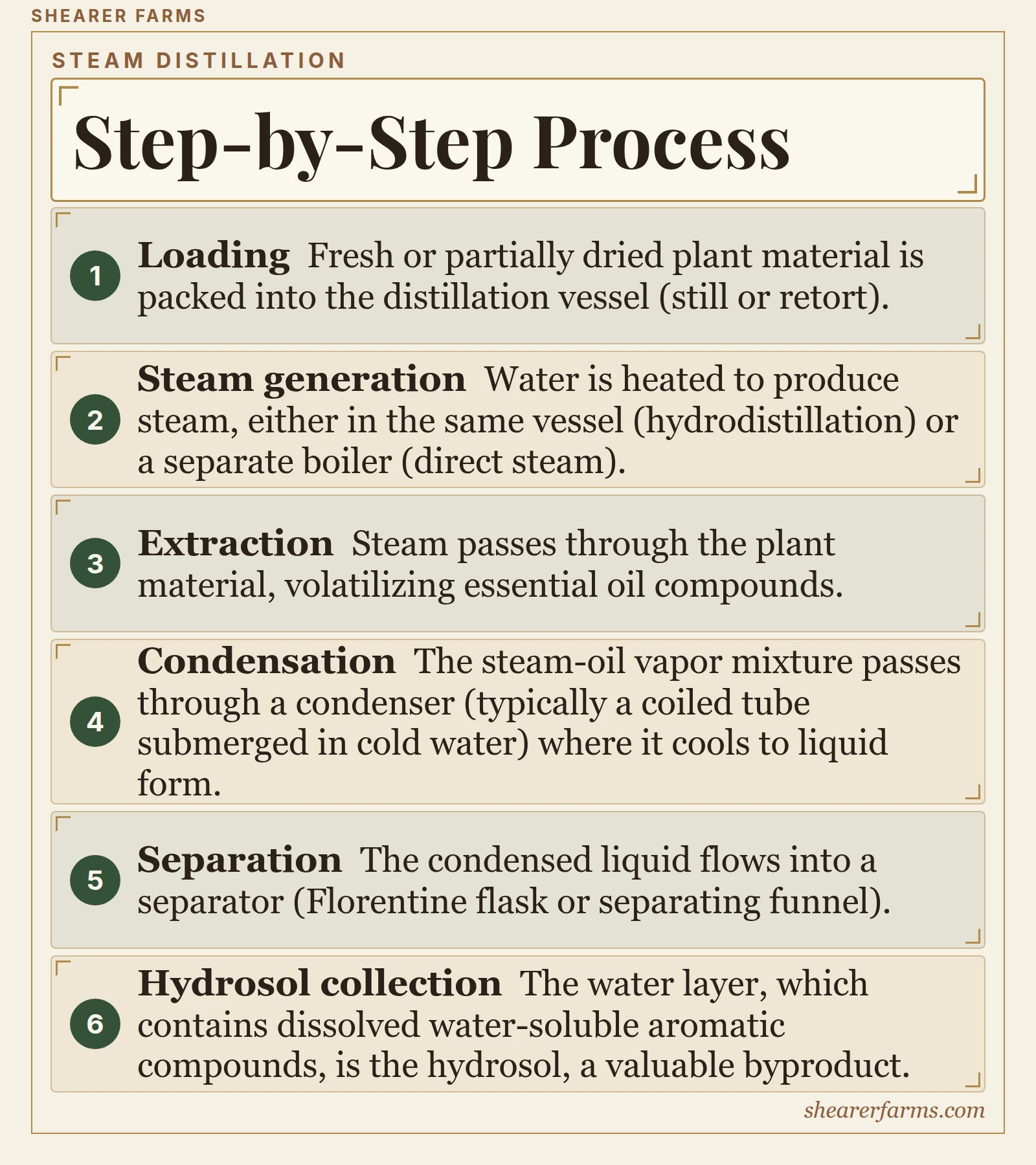 Step-by-Step Process. 1. Loading; 2. Steam generation; 3. Extraction; 4. Condensation; 5. Separation; 6. Hydrosol collection.